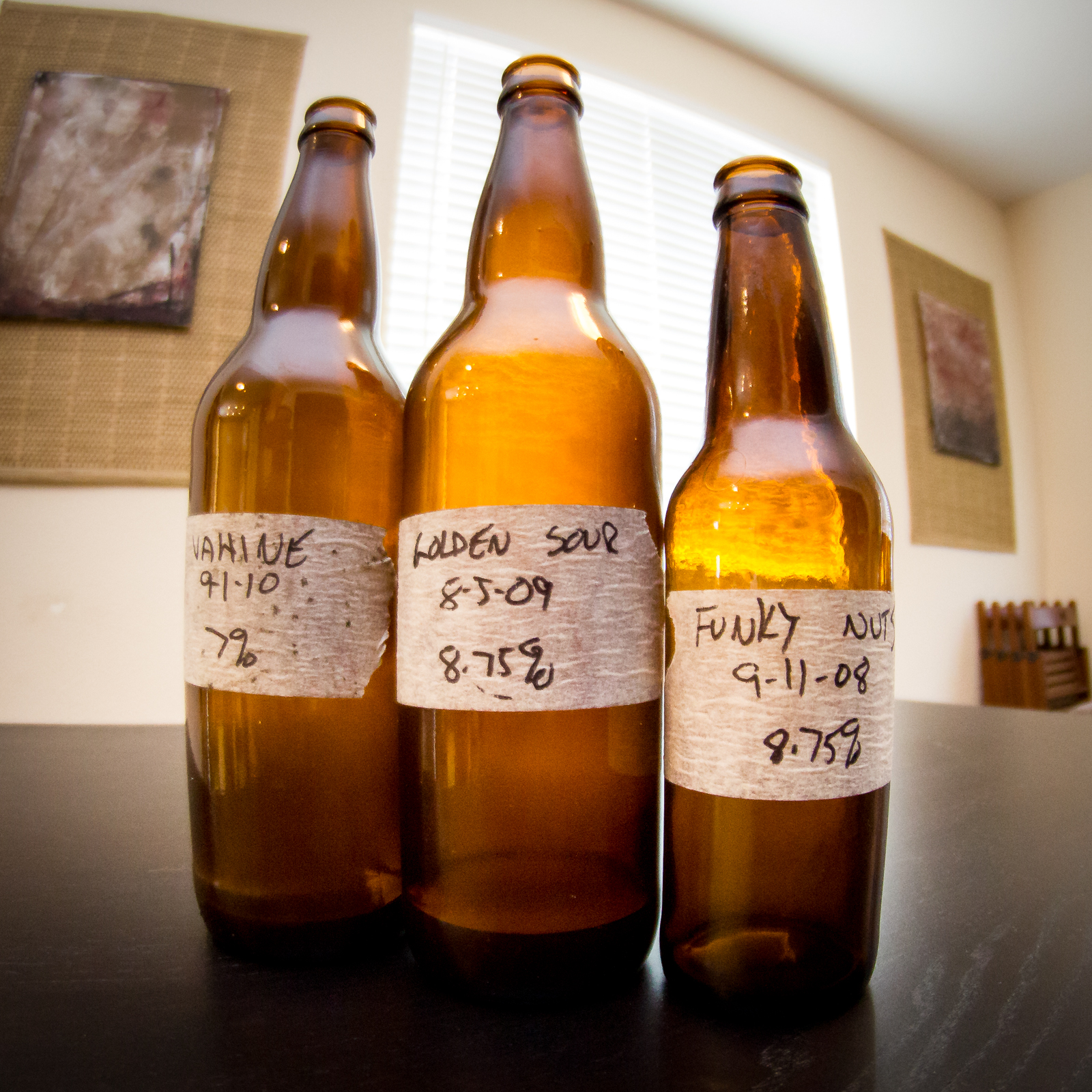 Derek Bougie's Homebrewed Sours