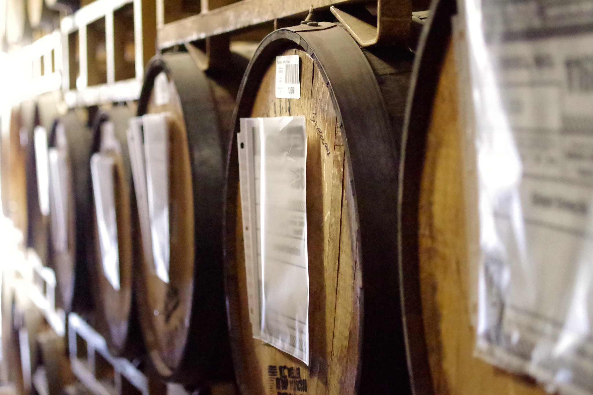 Barrels at Bottle Logic Brewing